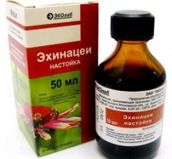 Эхинацея настойка 50 мл 1 шт.